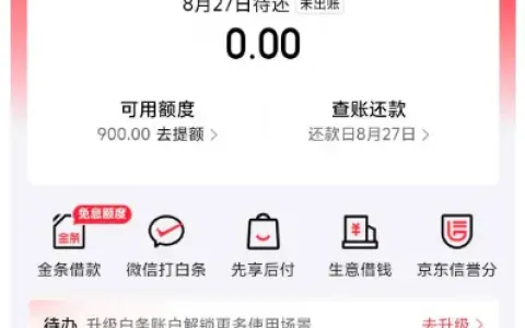 京东白条购物支付通道开通实测，征信有瑕疵仍获批 900 元初始额度，开通技巧与注意事项参考