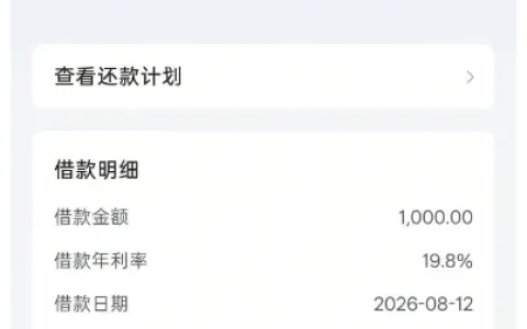 抖音放心借 1000 元借款秒速到账，江苏银行出资分 12 期，小黑屋问题与申请技巧参考