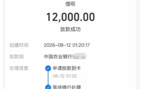 借呗 12000 元借款深夜申请秒速到账，额度状态因人而异，复借与使用注意事项参考