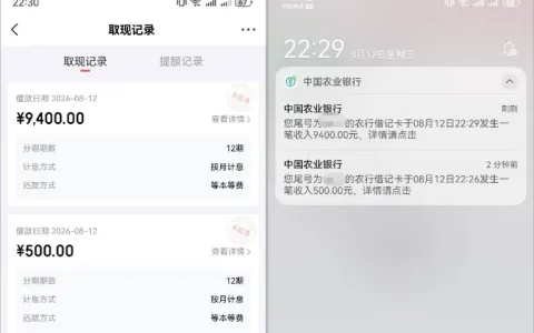 京东白条 100 元消费履约后提至 3100 元，9400 元取现秒到账，提额逻辑与使用风险参考
