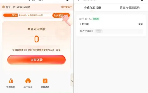小花钱包显示待放款就稳了吗？12000 元排队审批中，开会员真的能加速下款吗