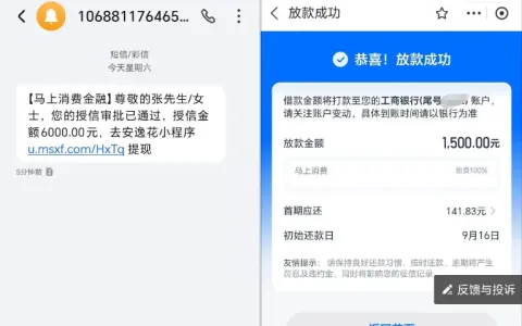 安逸花支付宝小号申请实测：授信 6000 元实下 1500 元，主号无额度可参考的申请技巧