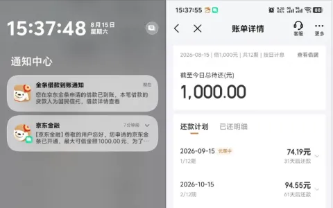 京东金条大号无借款资格，换小号申请秒下 1000 元，国民信托出资 12 期实测参考