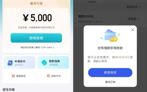易花花 5000 元申请进入待放款状态，预计次日到账并非稳过，银行终审仍有拒贷可能