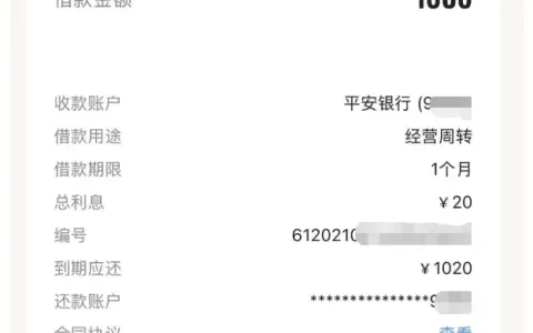 好 e 借 1000 元单期借款成功放款，总利息 20 元，身份证不符、无额度问题实测参考
