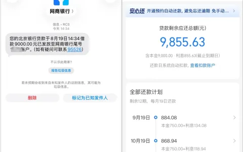 未开网店也能出额度，网商银行获批 9000 元分 12 期，北京银行出资放款实测参考