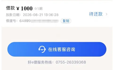 好 e 借昨日还提示身份错误，今日重审获批 10000 元单期额度，动态审核机制实测参考