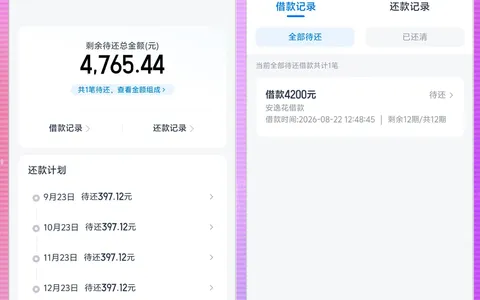 安逸花注销半个月后重新申请，预估 12000 元实批 4200 元，分 12 期秒到账实测参考