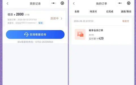 好 e 借获批 2000 元显示放款中，同步生成会员订单，到账时效与稳定性实测参考