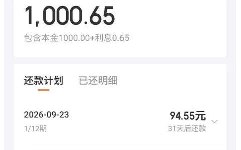 京东金条 500 额度申请秒拒，注销四五天后重开获批 1000 元，分 12 期秒到账实测参考