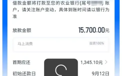 安逸花单笔获批 15700 元成功放款，马上消费全额出资，大额授信条件与拒贷常见原因实测参考