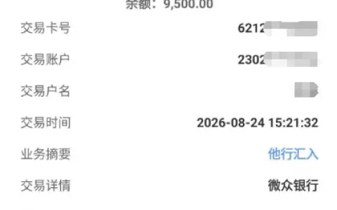 征信查询频繁但无逾期，微粒贷单笔 9500 元顺利放款，当前放款稳定性实测参考