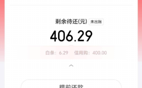 京东外卖结算页触发白条开通，逾期代偿资质获批 500 元额度，400 元可提现实测参考