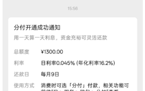 征信偏黑多年未通过信贷审批，微信分付成功开通 1300 元额度，按日计息使用规则实测参考