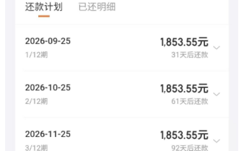 京东金条随手申请秒批 20000 元，年化利率 20.07%，按日计息支持提前结清实测参考