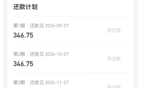 好分期许久未下款本以为停用，1000 元小额借款 5 分钟到账，出资方与申请技巧实测参考