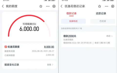 优逸花上月申请被拒重测通过，8000 元预授信实批 2000 元，安逸花未结清暂无法复借参考