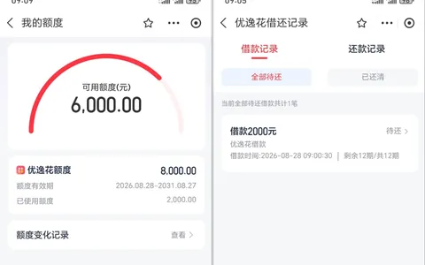 优逸花上月申请被拒重测通过，8000 元预授信实批 2000 元，安逸花未结清暂无法复借参考