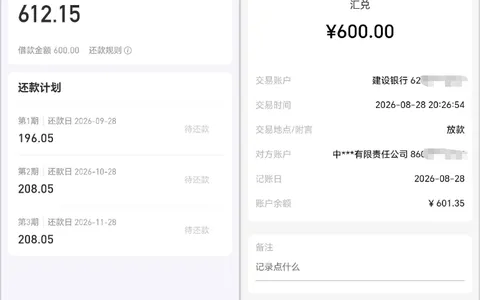 好分期逐步恢复放款，600 元小额 3 期再下一笔，选信托出资方通过率更高实测参考