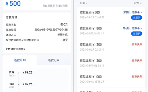 信用飞多次大额申请均失败，开通会员后 500 元小额 6 期放款，湖南三湘银行出资实测参考