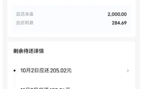 美团生活费时隔一年多成功下款，2000 元借款分期偿还，多平台额度有限也可通过实测参考