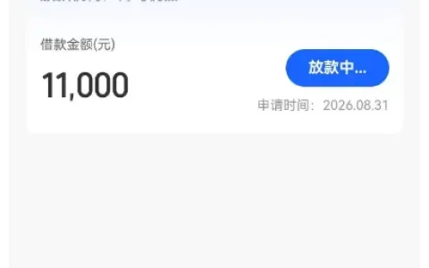好会借匹配菁鸟优品放款渠道，11000 元借款进入审核，渤海长银出资设会员费用实测参考