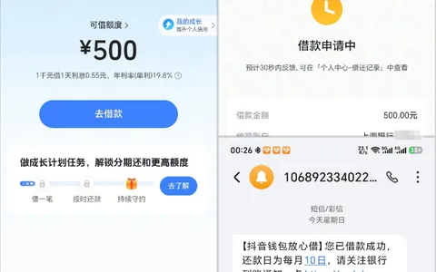 皮皮虾入口放心借成功放款 500 元，征信有逾期呆账也可通过，时隔多年首次下款实测参考