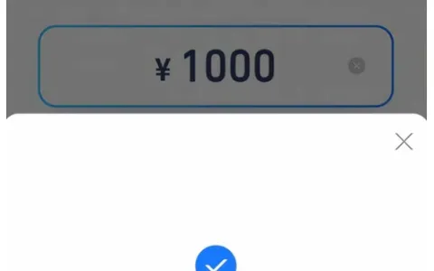信用贷 (原借呗) 1000 元借款顺利到账，总额度仅 2600 元，不同账号授信差距明显实测参考