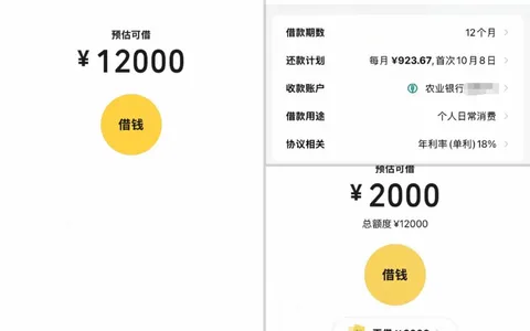 微粒贷 10000 元借款秒到账，年利率 18% 按日计息，提前还款免违约金使用省心实测参考
