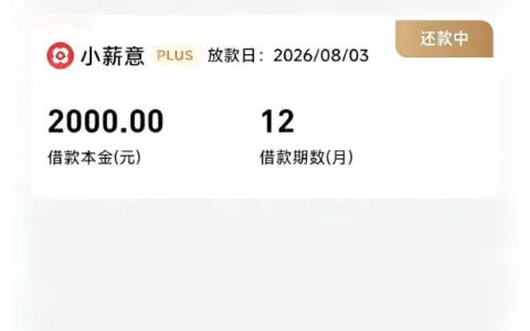 小薪意真的能下款吗？本来没抱希望，实测 2000 元分 12 期成功到账