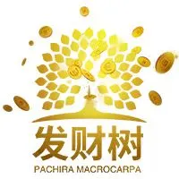 发财树ID