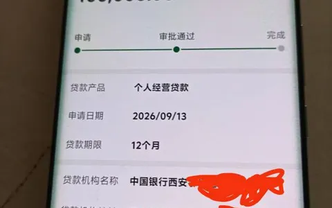 中国银行线下个人经营贷100000元成功获批，征信查询20余次仍通过，期限12个月