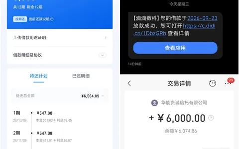 滴滴数科6000元成功下款，大花户被套路近一年，每月坚持申请终通过