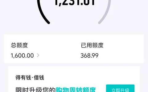 得物得有钱1600元额度成功获批，有历史执行记录已结清，征信无逾期也能通过