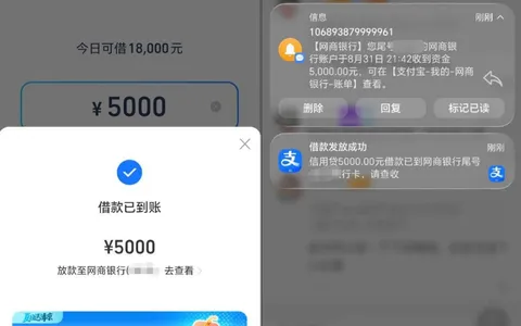 信用贷 (原借呗) 18000 元授信可用，5000 元借款秒到账，网商银行放款稳定实测参考