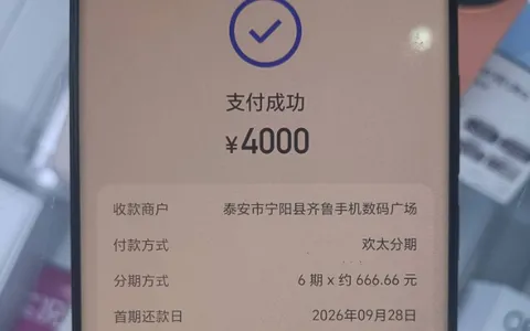 欢太分期线下数码商户支付成功，4000 元消费分 6 期还款，实体门店场景可用实测参考