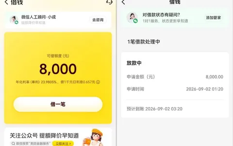 美团借钱口子评测：随手一点出了 8000 额度，放款中到底稳不稳？