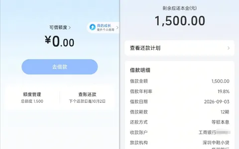 抖音放心借 1500 元借款顺利到账，12 期等额本息还款，持牌金融机构联合出资实测参考