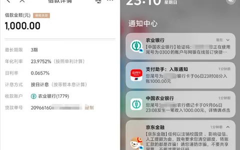 京东金条注销重注册后 1000 元成功放款，兴业锦程均拒批，国民信托出资秒到账实测参考