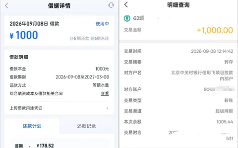 信用飞 1000 元借款 5 分钟到账，北京中关村银行放款，分 6 期等额本息还款实测参考