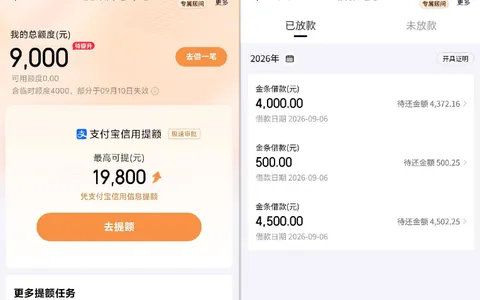 京东金条注销后还能申请吗？群里老哥分享经历，5000 固定 + 4000 临时额度两分钟审批通过