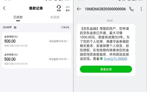 京东金条征信花能申请吗？群里大花户实测分享，成功获批 1000 元额度有效期 3 年