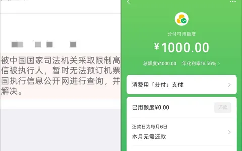 微信分付实测征信黑也能出 1000 元额度，失信被执行人都能开通，支付场景弹出入口成功率更高