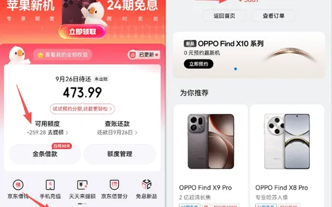OPPO 商场白条仅 100 额度卡成 12 期分期，支付 5687 元成功，月查询 20 + 也能通过
