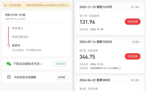 好分期连拒两个多月，换了3期小额申请居然过了，1000元下款资方是重庆黑卡小额