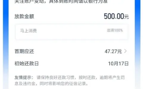 安逸花注销半年后，从支付宝入口下款500元，取消一笔闲置授信治好了负债过高