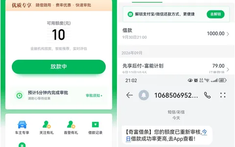 奇富借条额度1000显示放款中怎么回事？邀申后提交等审批，群友称到账才算稳