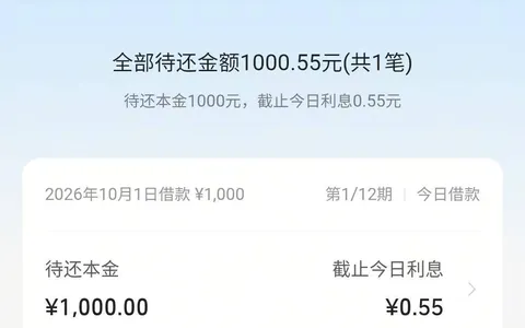 金条借呗均遭套路无法复借，放心借1000元循环稳定，还款后秒批分12期