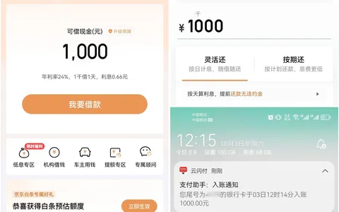 京东金条注销账号解绑实名重开，1000元数分钟到账，注销后征信记录会清吗