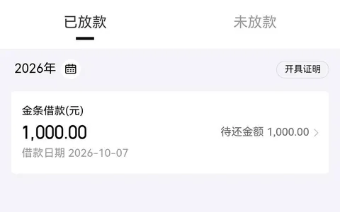 白条13000专享额度怎么用？实际能用的只有200元，顺手申请金条1000元秒到账